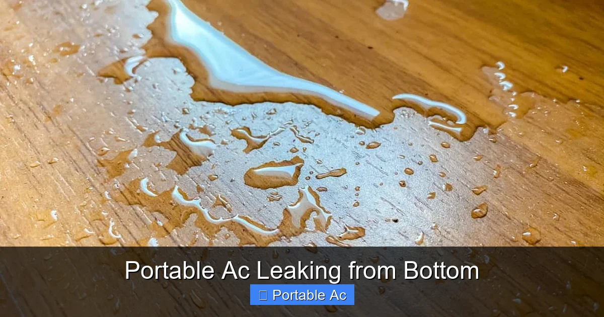 Portable Ac Leaking from Bottom