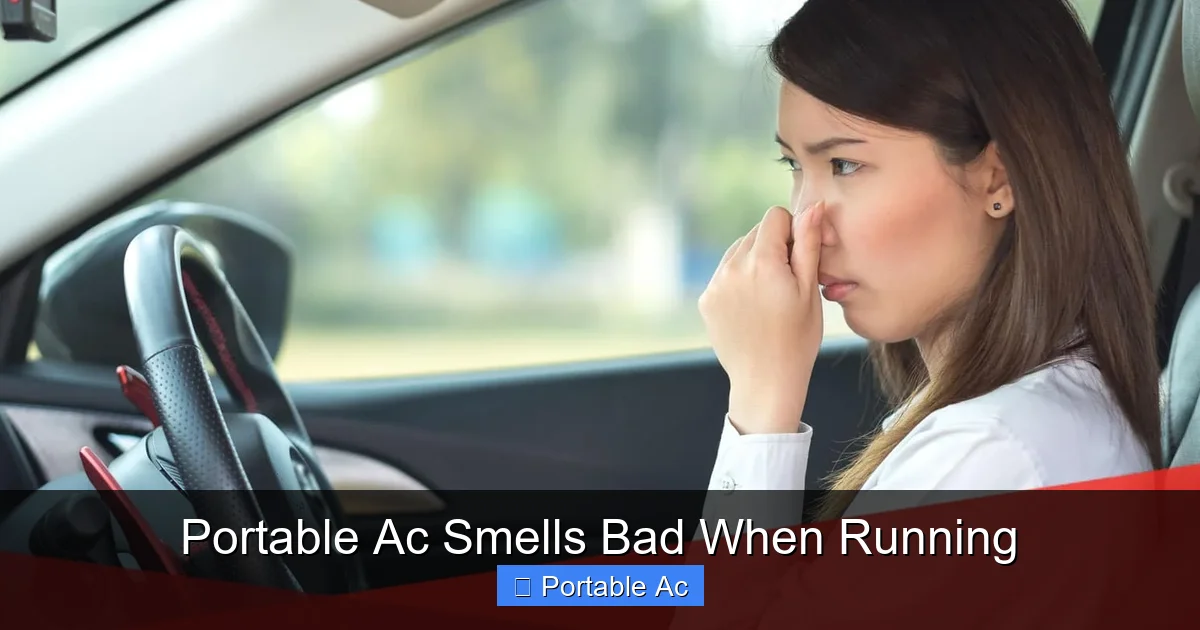 Portable Ac Smells Bad When Running