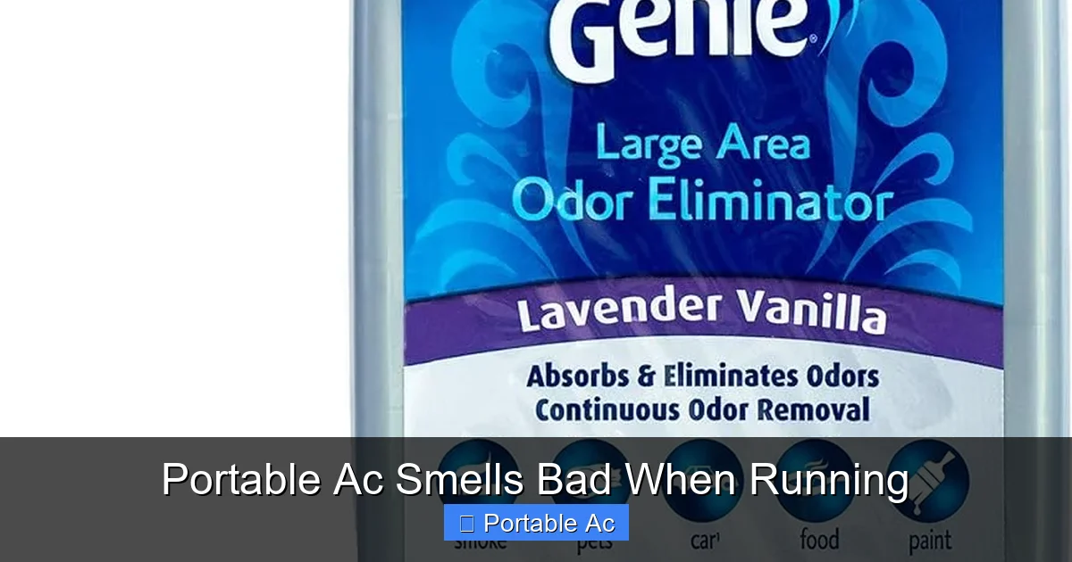 Portable Ac Smells Bad When Running