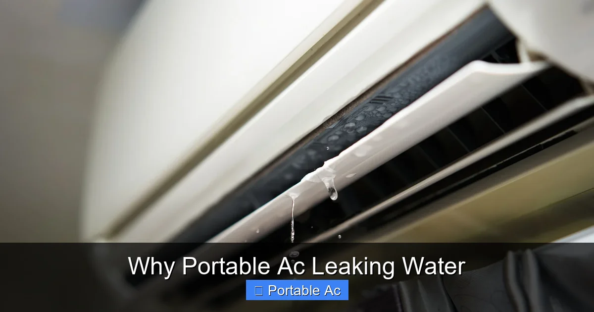 Why Portable Ac Leaking Water